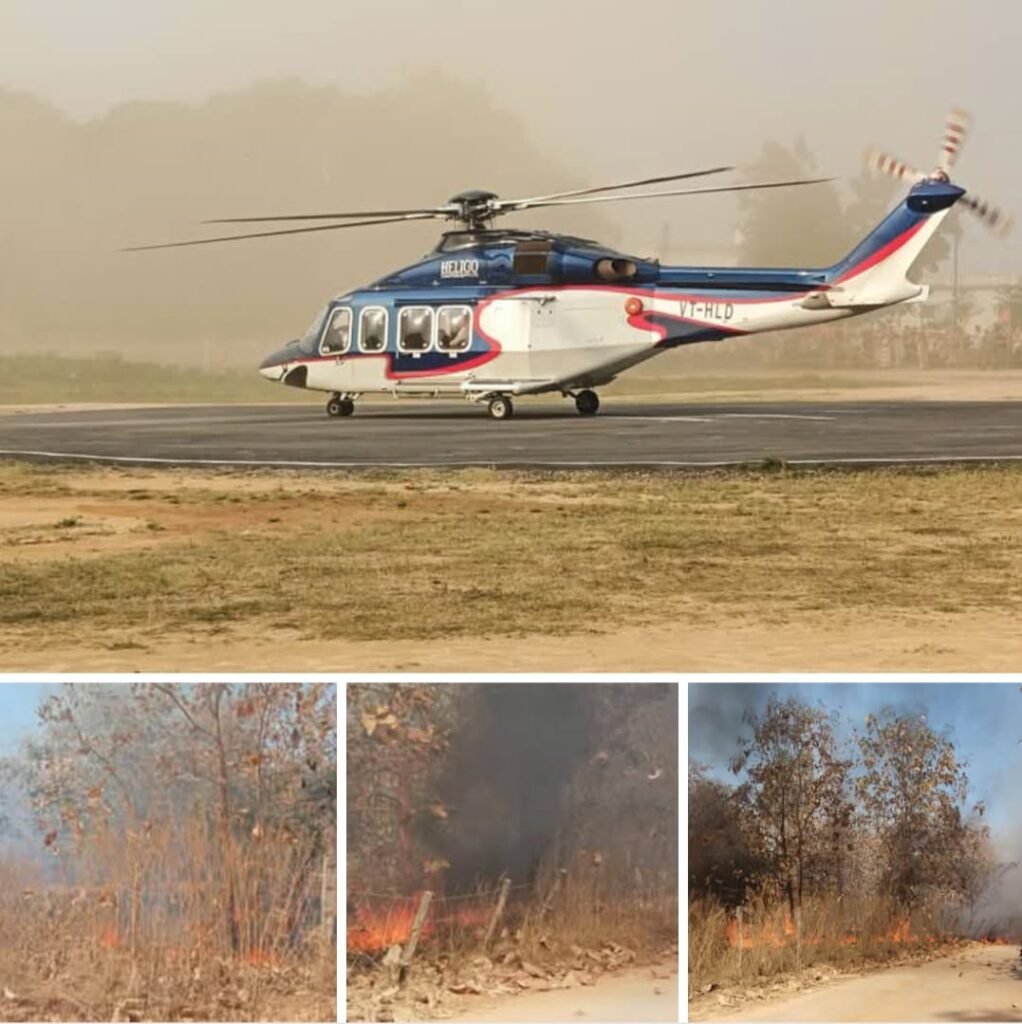 गर्मी आतें ही “…. Forest विभाग के अधिकारियों को नींद आ ही जाती है और