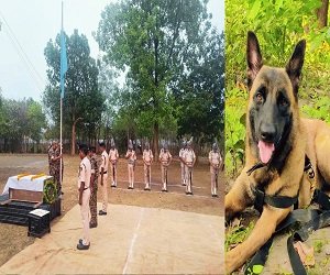 CG – मधुमक्खियों के हमले से शहीद हुआ K9 रोलो, गार्ड ऑफ ऑनर के साथ दी गई अंतिम विदाई