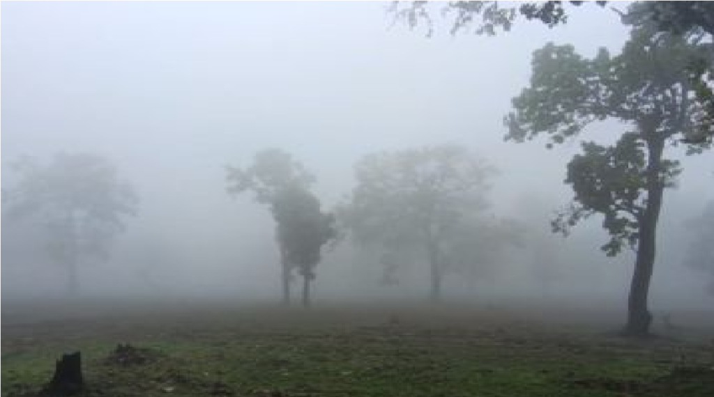 Chhattisgarh Weather : उत्तर छत्तीसगढ़ में बढ़ी ठंड, सरगुजा संभाग ठिठुरा; रायपुर में कोहरे ने बढ़ाई परेशानी