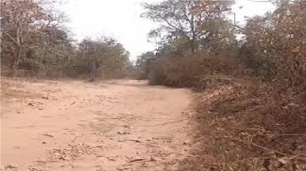 Naxal IED Recovery News : मार्ग पर बिछी थी बारूदी सुरंग, गश्ती दल की सतर्कता से टला हादसा Naxal IED Recovery News