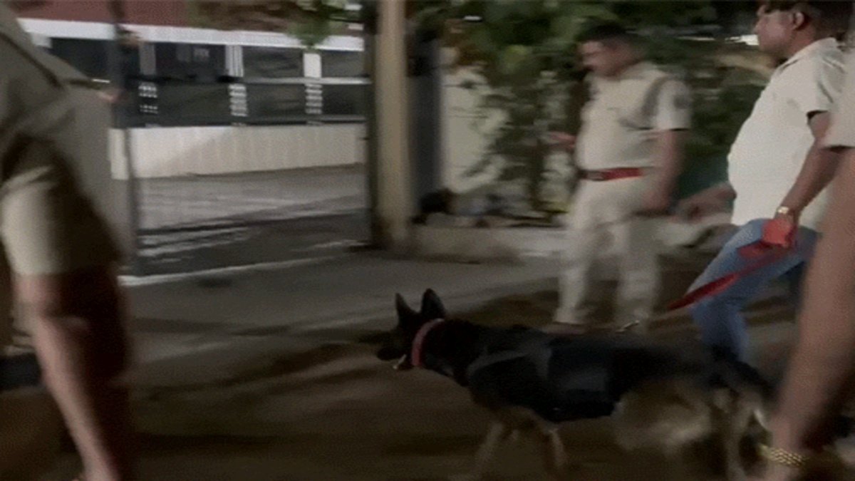 CG NEWS : मस्तूरी गोलीकांड’ फरार आरोपी की तलाश तेज, घर पर छापेमारी से बढ़ा तनाव