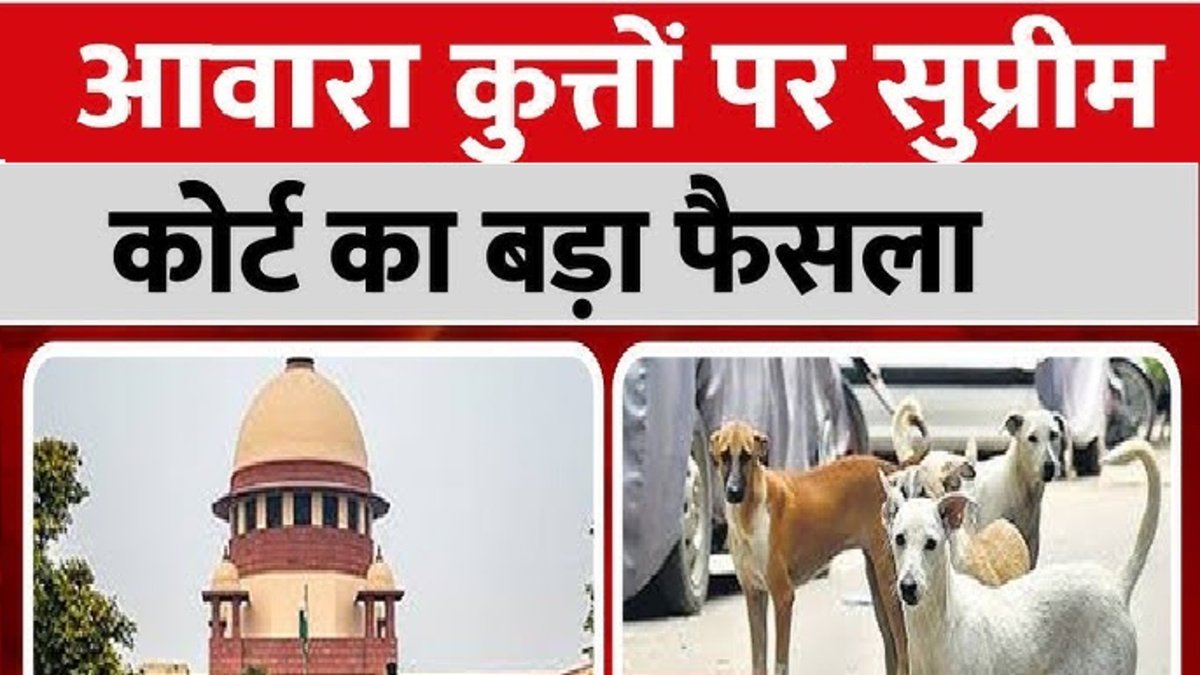 Supreme Court of India’ में आवारा कुत्तों पर सुनवाई, देशभर की निगाहें फैसले पर