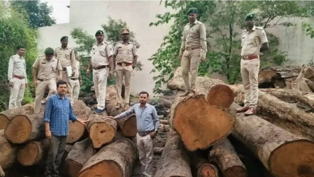 Korba Breaking: 207 पेड़ों की कटाई के बीच 7 पेड़ों की लकड़ी गायब, आरोपी ने भेजी रायपुर