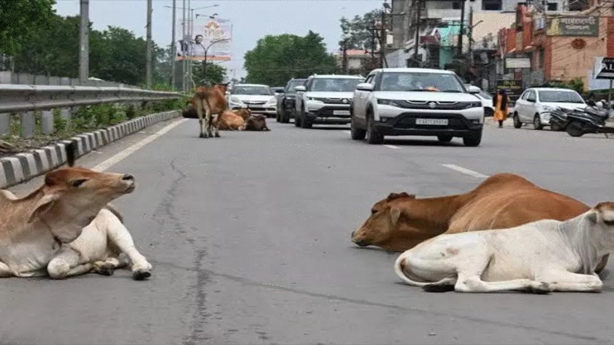 छत्तीसगढ़ में सड़क हादसों का भयावह आंकड़ा’ एक साल में 6,967 मौतें, High Court’ सख्त