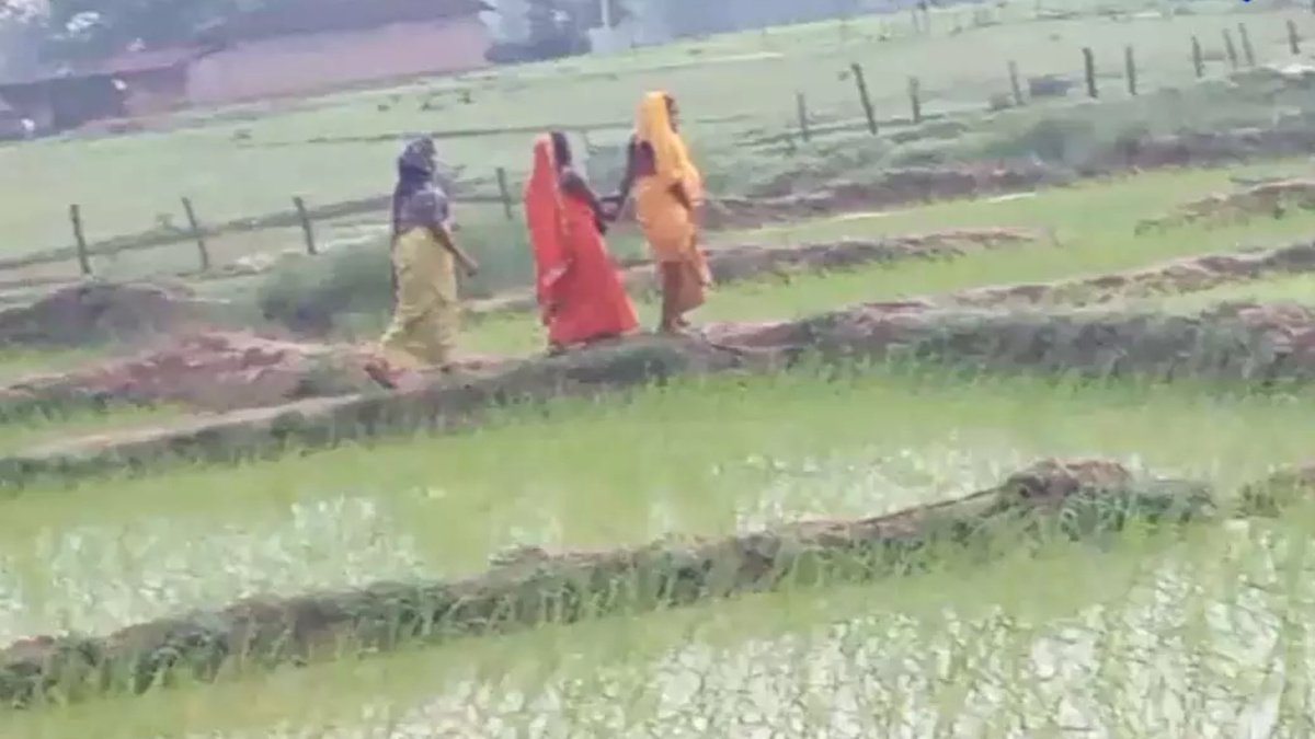 CG News : सड़क के अभाव में खेत बना प्रसूति कक्ष, गर्भवती ने खुले आसमान के नीचे दिया बच्चे को जन्म