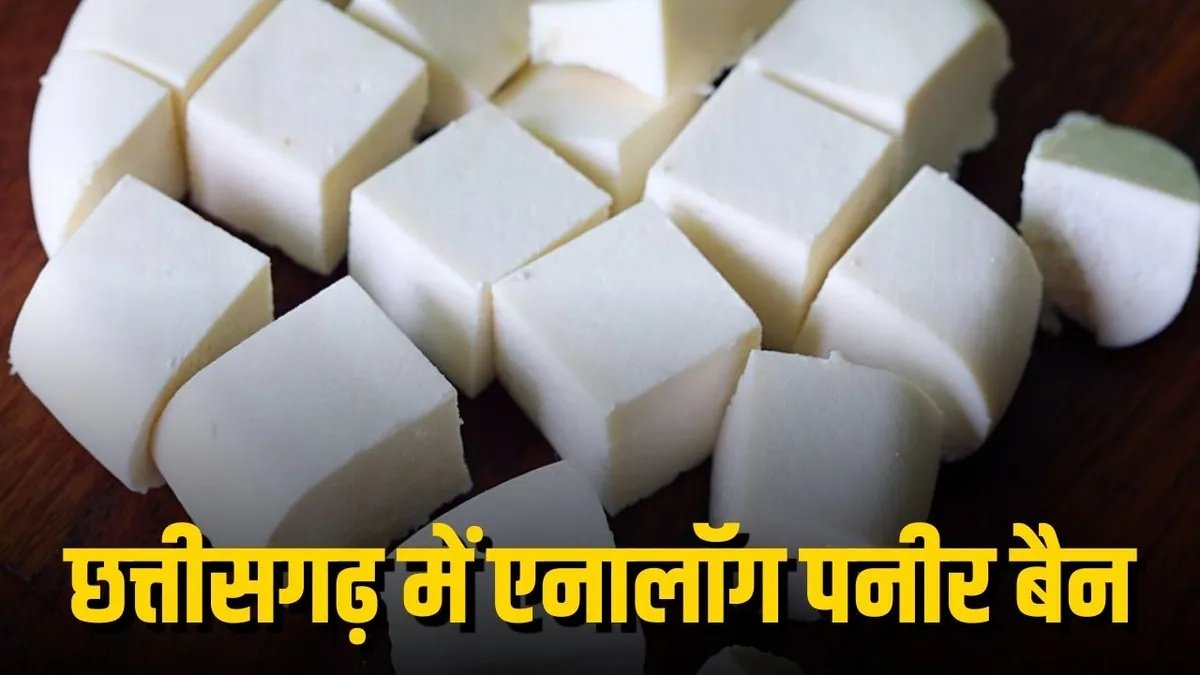 CG News : एनालॉग पनीर पर बैन का दिखा बड़ा असर, असली पनीर की डिमांड बढ़ी’ कीमतों में 50 रुपये प्रति किलो तक का उछाल