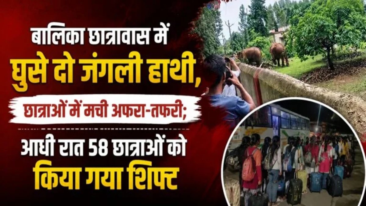CG News : बालिका छात्रावास में हाथियों की एंट्री से हड़कंप, जान बचाने के लिए छात्राओं को रातोंरात किया गया शिफ्ट