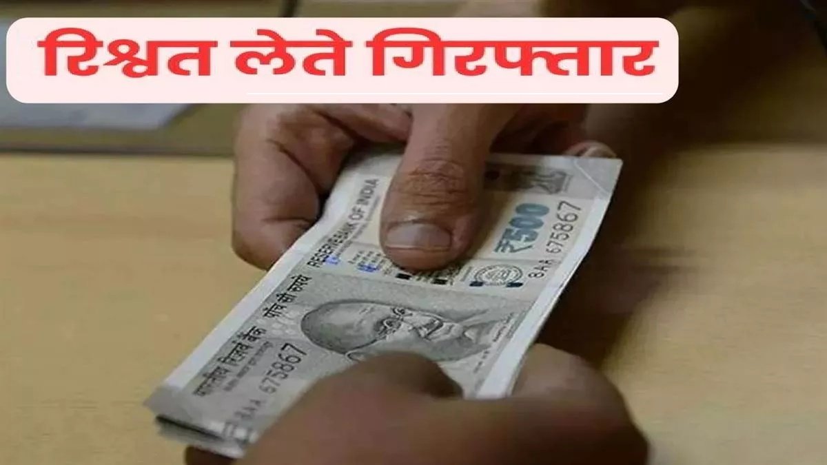 BREAKING NEWS : तहसील कार्यालय में बड़ी कार्रवाई, 50 लाख रुपये लेते तहसीलदार को ACB ने दबोचा