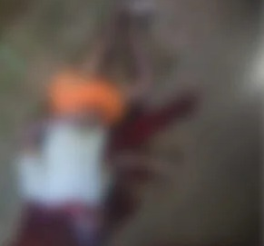 Korba Crime News: दादी से विवाद के दौरान भतीजे ने चाचा पर किया जानलेवा हमला, मौके पर मौत