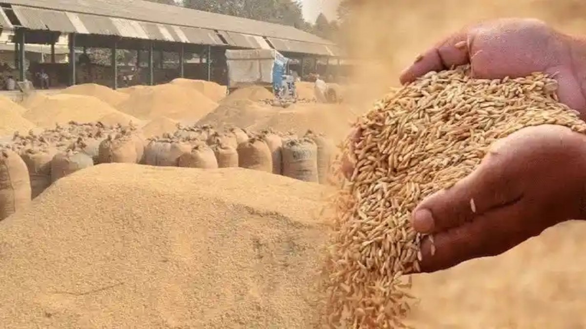 Dhan Kharidi New Guidelines : छत्तीसगढ़ में धान खरीदी के नियम बदले’ किसानों के लिए जरूरी निर्देश, गलती हुई तो हो सकता है नुकसान