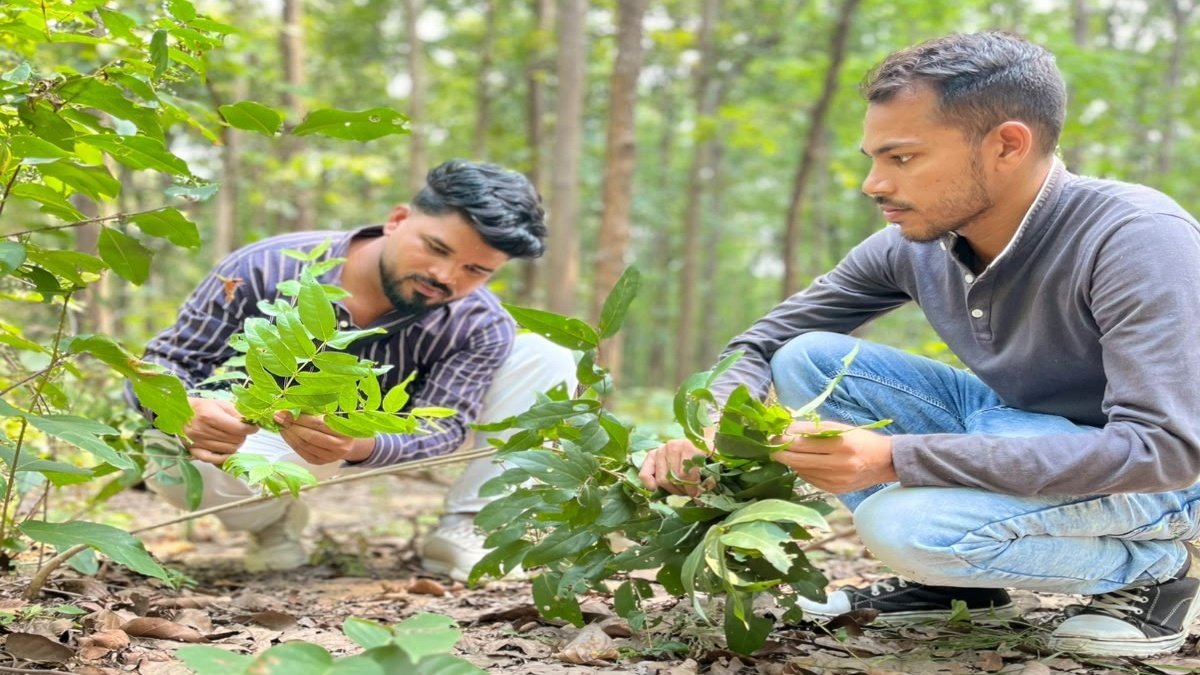CG News : छत्तीसगढ़ के जंगलों में वैज्ञानिकों को मिली बड़ी कामयाबी, दुर्लभ मकड़ी की भारत में पहली बार हुई पहचान